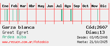 Estadisticas Estadisticas