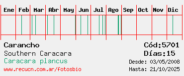 Estadisticas Estadisticas