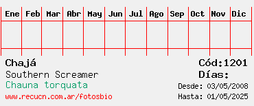 Estadisticas