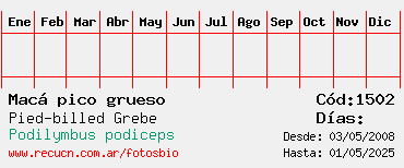 Estadisticas