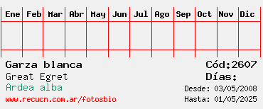 Estadisticas