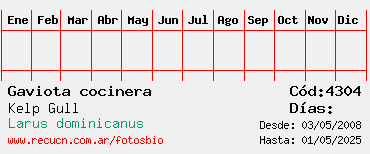 Estadisticas