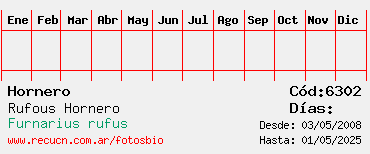 Estadisticas