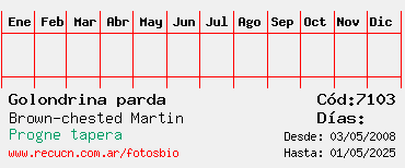 Estadisticas