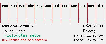Estadisticas
