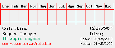 Estadisticas