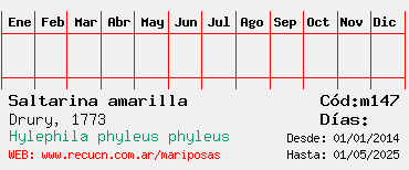 Estadisticas